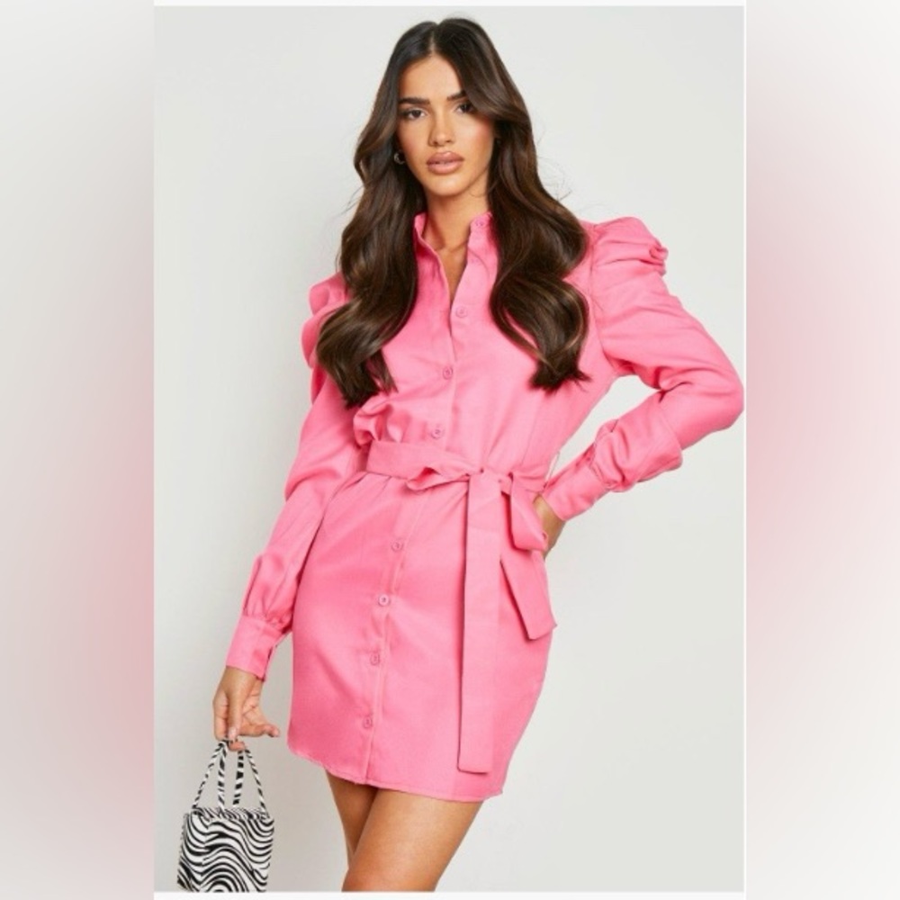 Pink Puff Sleeve Shirt Dress